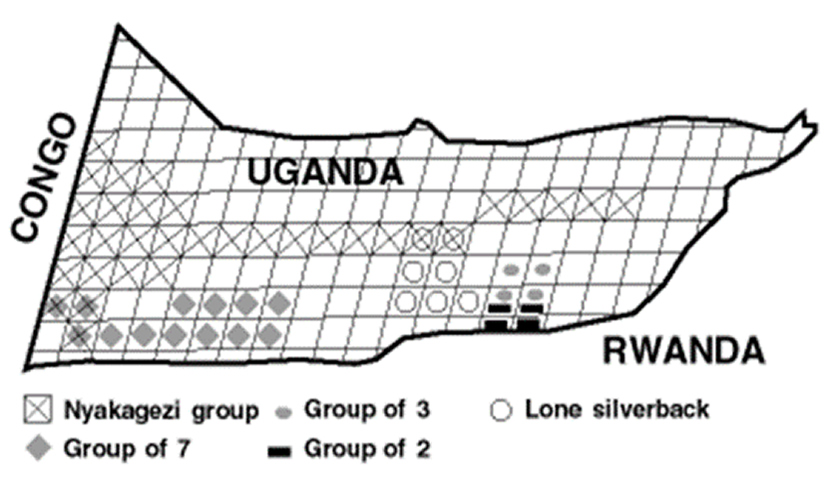 State of Gorillas