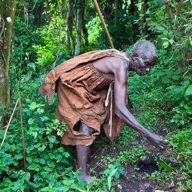 Batwa Trail