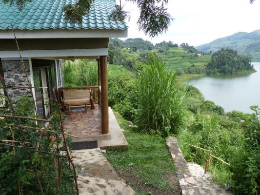 Bwindi Jungle Lodge