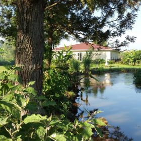 Mucha Hotel Kisoro