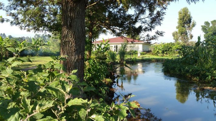 Mucha Hotel Kisoro