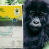 What is the Best Time to Book a Gorilla Permit?