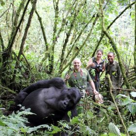 Mountain Gorilla Trekking