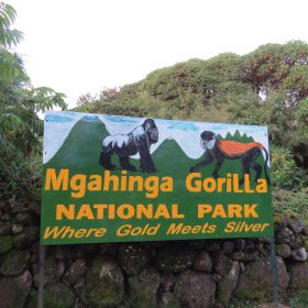 Mgahinga Nationa Park