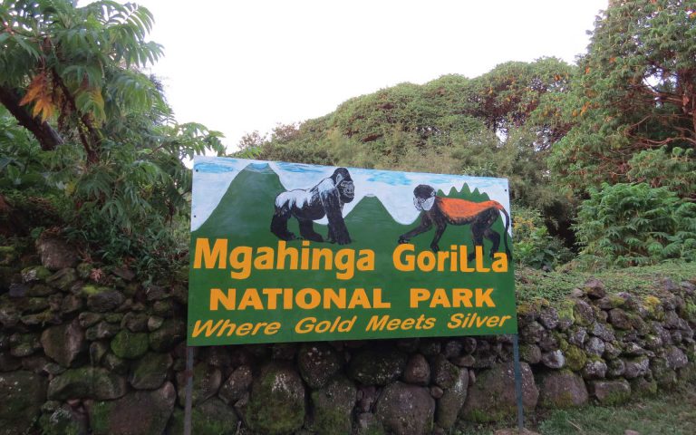 Mgahinga Nationa Park