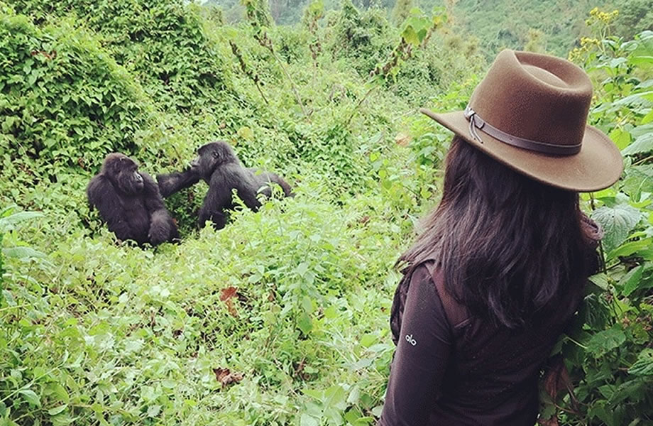 Ecofriendly Gorilla Trek