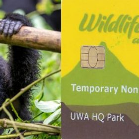 Uganda Gorilla Permit