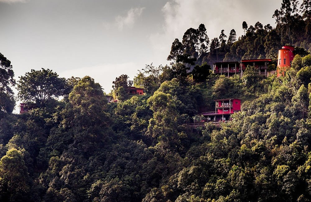 Chameleon Hill Lodge