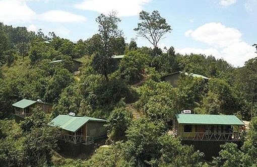 Gorilla Hills Ecolodge